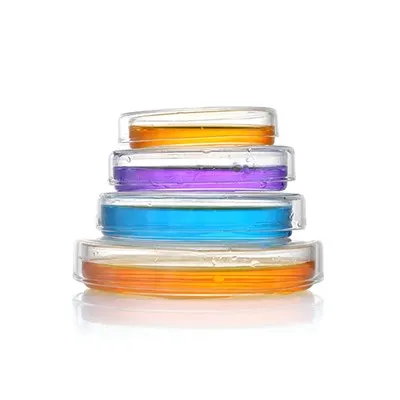 ظرف پتری شیشه ای آزمایشگاهی 60 میلی متر 90 میلی متر 100 میلی متر ظرف کشت سلولی با درب